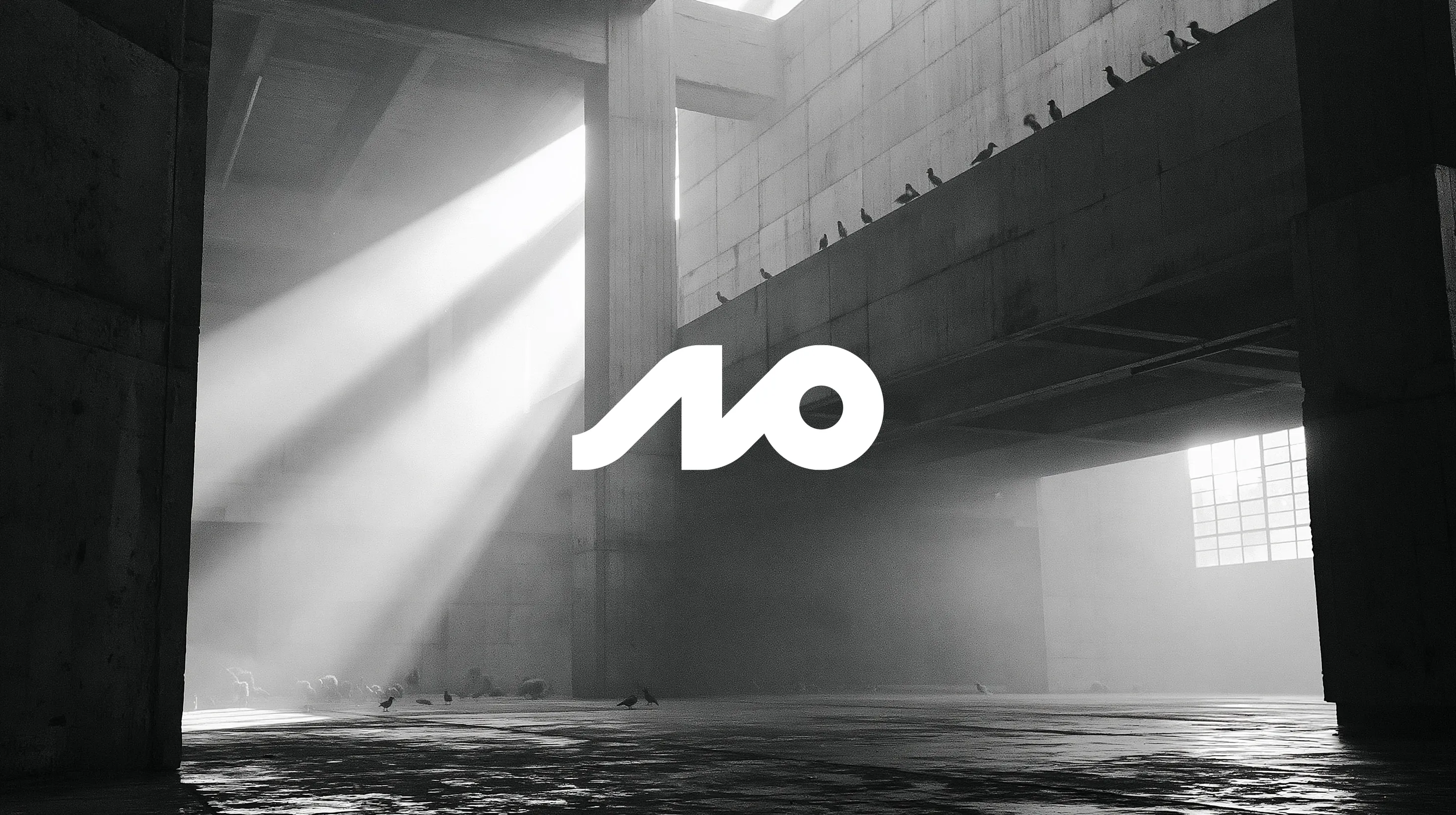 Adjacent Possible<h5>Brand Identity<h5>